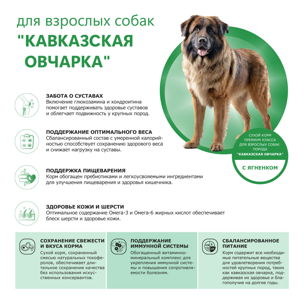 Корм сухой для взрослых собак породы Кавказская овчарка, с ягненком, 12 кг, QUATTRO