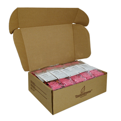 Чай Tasteabrew КЛУБНИКА и КИВИ (для чая со льдом)