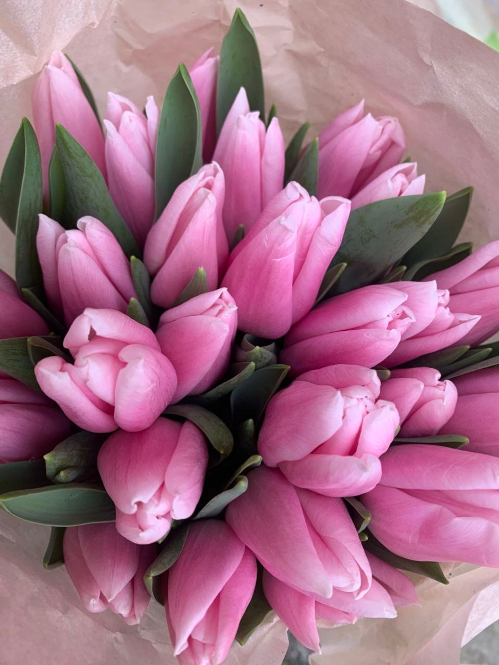 Розовые тюльпаны 15, 21, 33, 51 шт