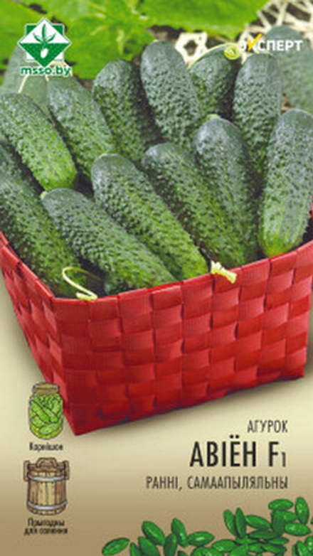 Огурец "Авион F1" 10шт, Нидерланды.