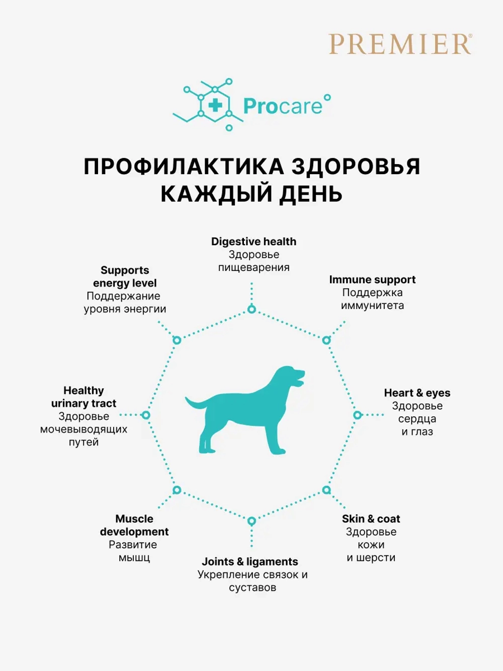 Premier Adult Medium для собак средних пород (Лосось с индейкой)