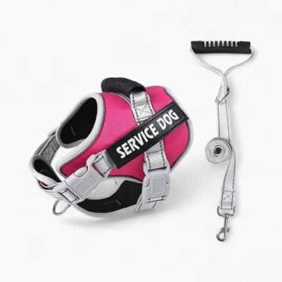 Шлейка и поводок «Service Dog»