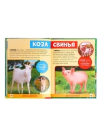 Энциклопедия В мире животных