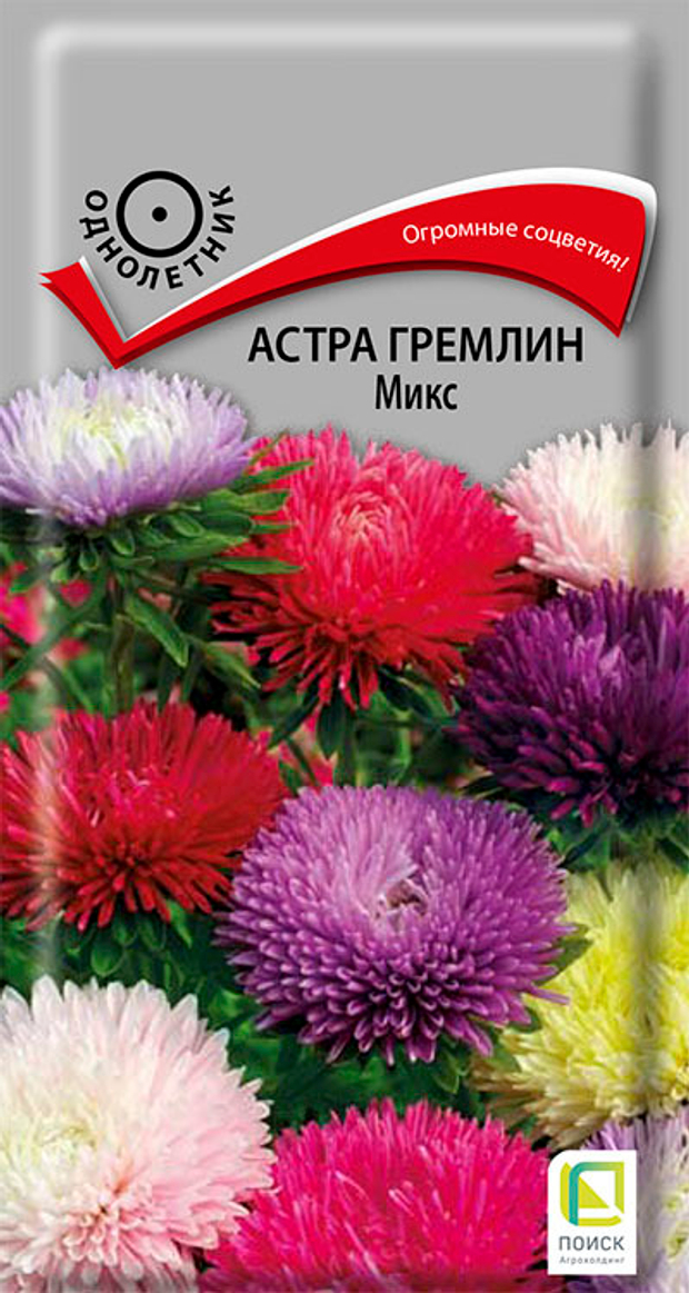 Астра гремлин Микс