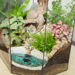 Готовый флорариум бонсай Фикус гинсенг Ботанический сад XL 45см с озером