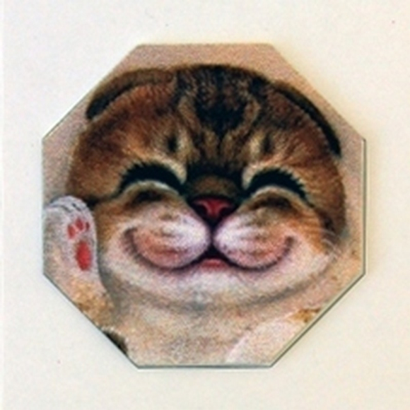 Стикер-протирка для смартфонов "Японская кошка"