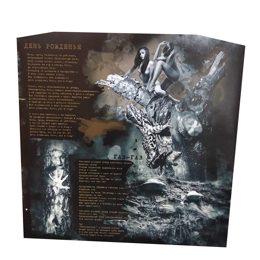 Чиж / Гайдном Буду! (LP)