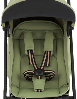 Детская прогулочная коляска Anex Air-X2 Vert