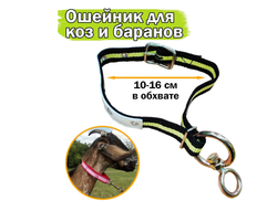 Ошейник для овец, коз и баранов