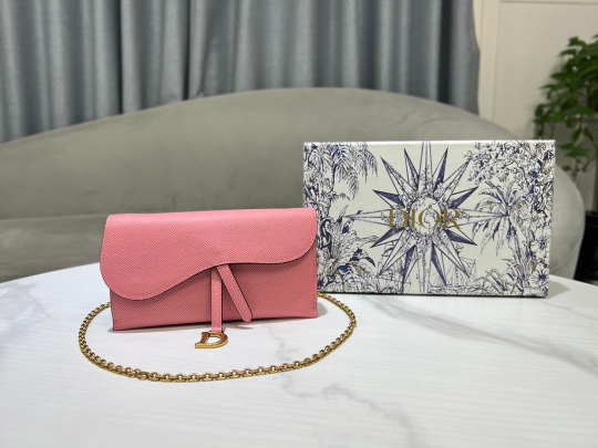 Christian Dior Long Saddle Wallet with Chain