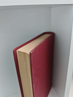 Полное собрание сочинений А. К. Шеллера-Михайлова. Том 2. Господа Обносковы. Рассказы