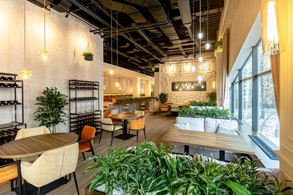 Озеленение ресторана грузинской кухни в Москве: комплексный проект с искусственными растениями