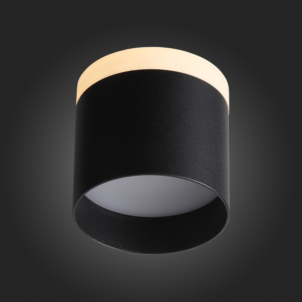 ST102.402.12 Светильник потолочный Черный LED 1*12W 3000K 936Lm Ra&gt;80 120° IP20 D100xH90 170-240V Накладные светильники