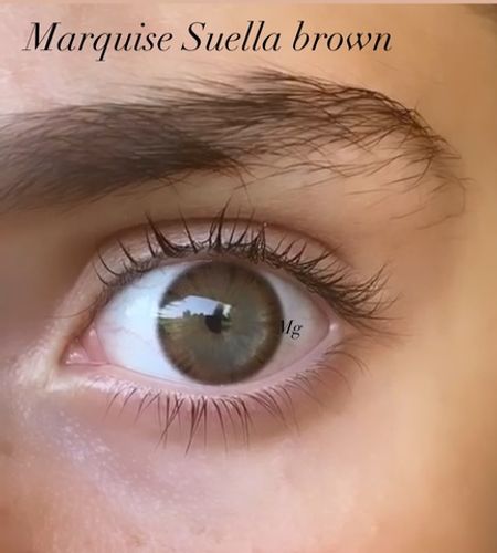 Карий ободок натуральные цветные линзы /Marquise Suella brown / Цветные линзы карий черный ободок / 12 месяцев