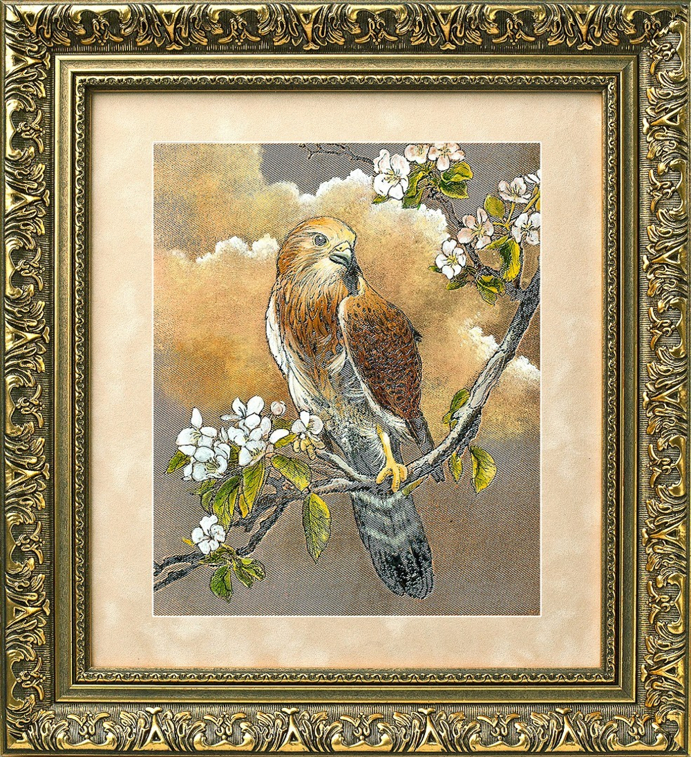 Гравюра "Сокол"