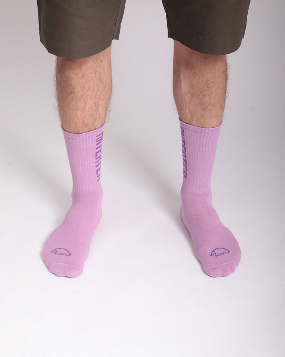 Носки Anteater Фиолетовые