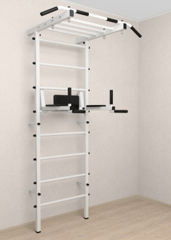 Шведская стенка Sv Pro рукоход 852 (Турник Pro рукоход/Брусья/стойка)