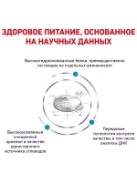 Royal Canin Anallergenic (Роял Канин Аналердженик АН 18 ) корм сухой для собак 8 кг.