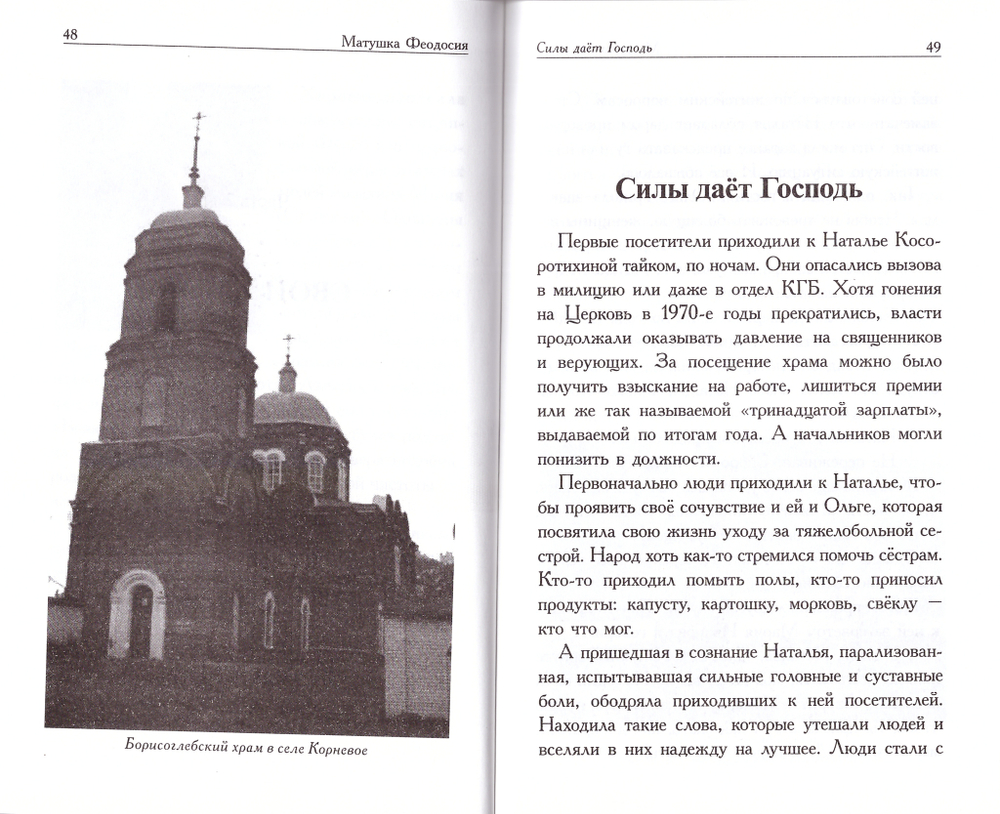 Матушка Феодосия. Рассказы о скопинской старице. Игорь Евсин
