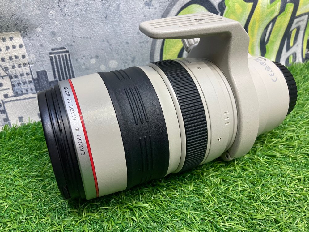 Canon EF 28-300mm 3.5-5.6L IS USM