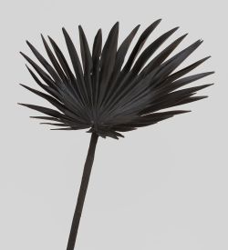 TR 610 Пальмовый лист