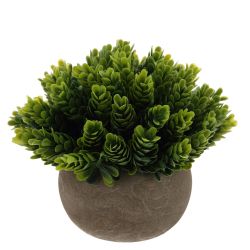 GAEM Цветочная композиция, L14 W14 H13,5 см