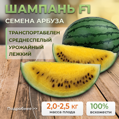 ШАМПАНЬ F1 семена арбуза (Takii | Alexagro)
