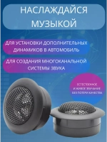 Динамики автомобильные пищалки твитеры СТС120
