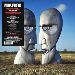 Pink Floyd. The Division Bell (2LP) Пинк Флойд