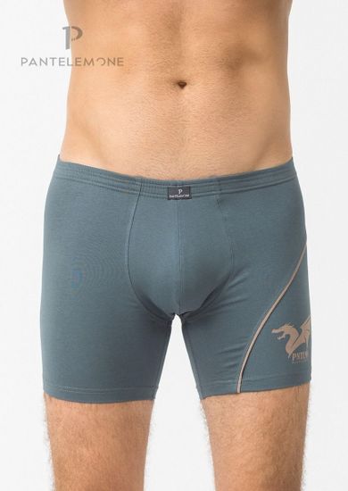 Трусы мужские боксеры Pantelemone PMHL-1350, серо-зеленый