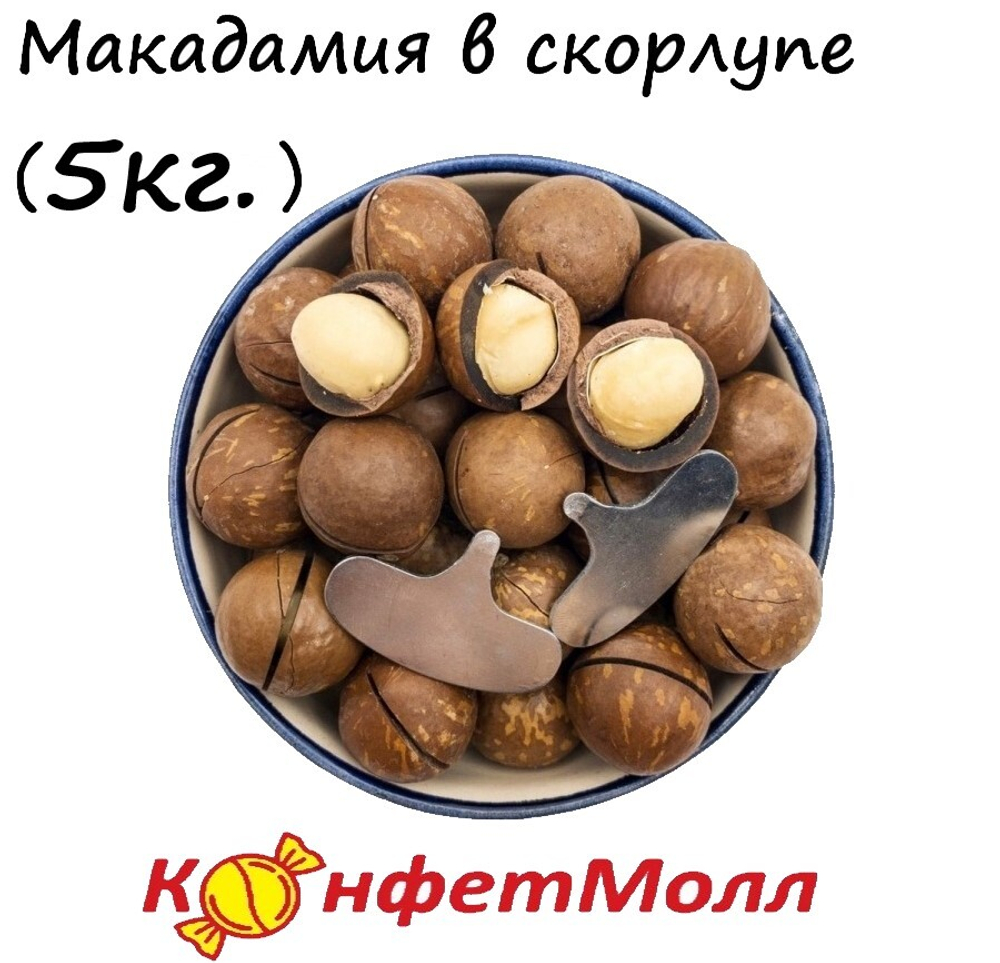 Макадамия в скорлупе, средняя (5 кг)