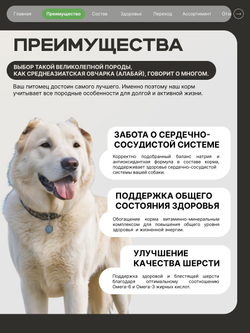 Корм сухой для взрослых собак породы Среднеазиатская овчарка (Алабай), с ягненком, 12 кг, QUATTRO