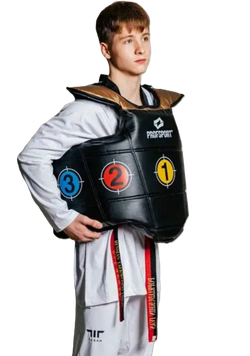 Протектор защитный силовой ProfSport