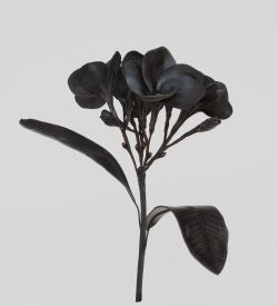 TR 614HM2 Плумерия 5 бутонов с листьями