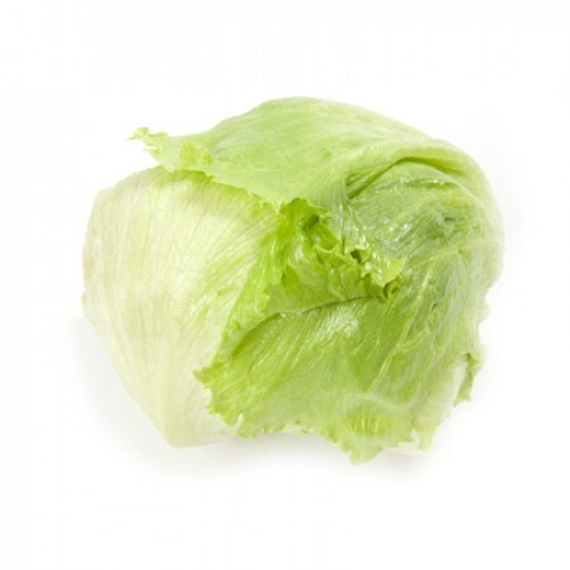 САНТАРИНАС семена салата (Rijk Zwaan | Alexagro) – фото 4