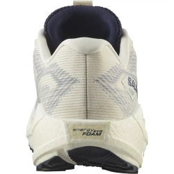 Кроссовки для бега Salomon AERO BLAZE 3 GRVL GORE-TEX Vanilla Ice / Astral Aura / Lemon