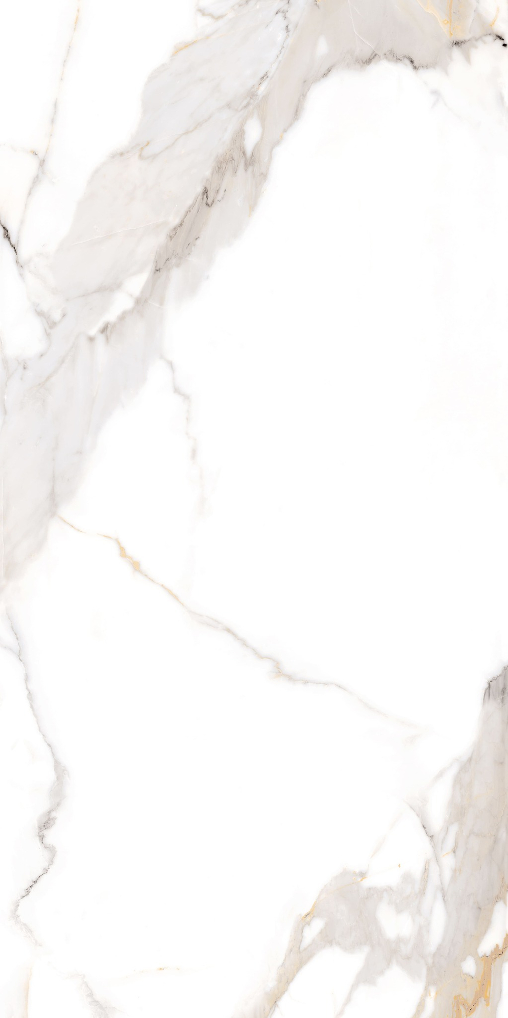 NT Ceramic Bright And Shiny NTT9121 Calacatta Light Grey 60x120