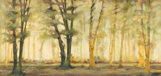 Коллекция MF0049