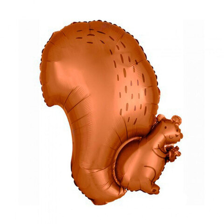 Белка коричневая