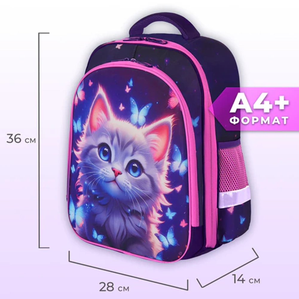 Ранец BRAUBERG KIDS STANDARD, 2 отделения, Curious cat, 36х28х14 см, 273145