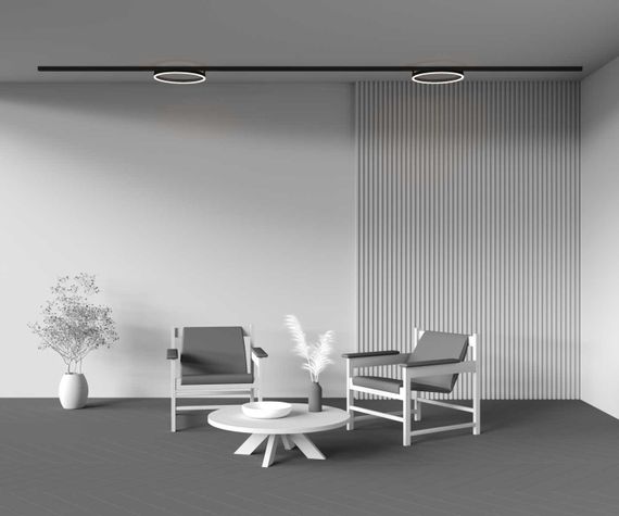 Трековый светильник Maytoni Technical TR227-2-24W3K-B