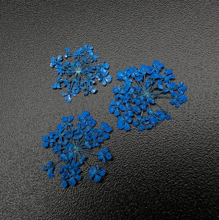 Сухоцветы "Любимые цветочки", 1679