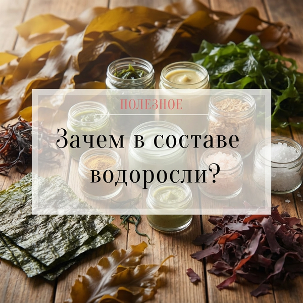 Зачем в составе водоросли?