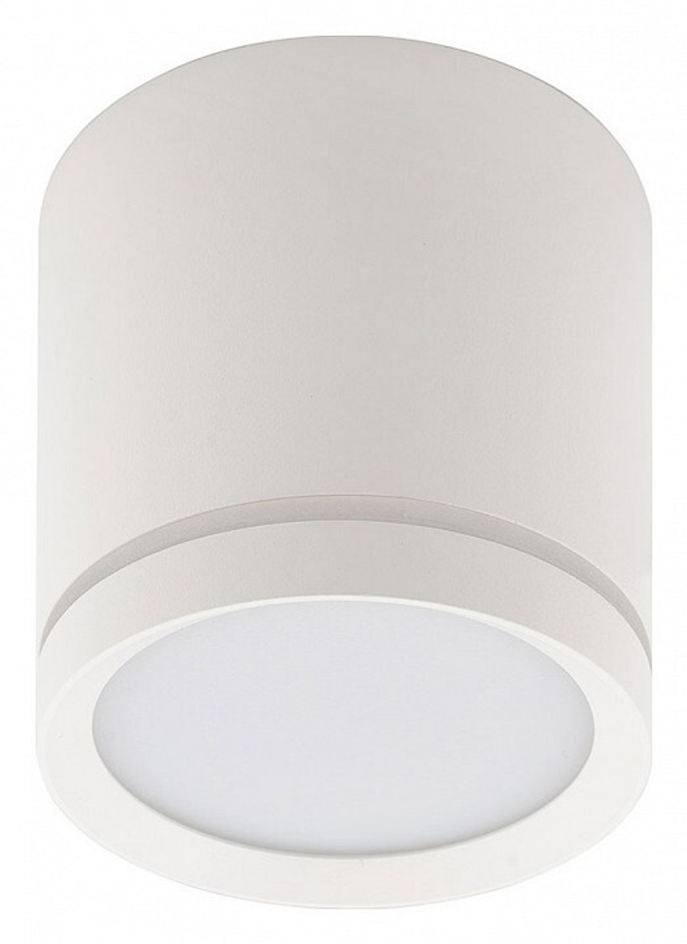 Накладной светильник Denkirs DK4013-WH