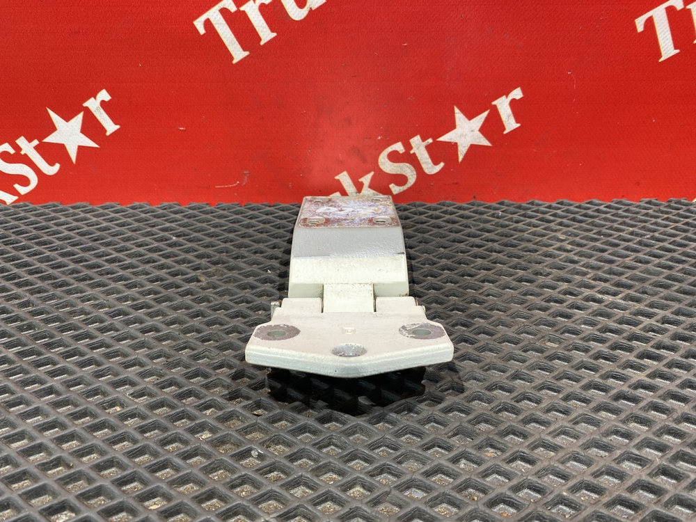 Петля двери 2020г