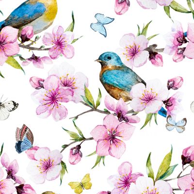 Сакура и птичка.