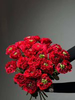 Букет из 25 красных пионовидных роз под ленту