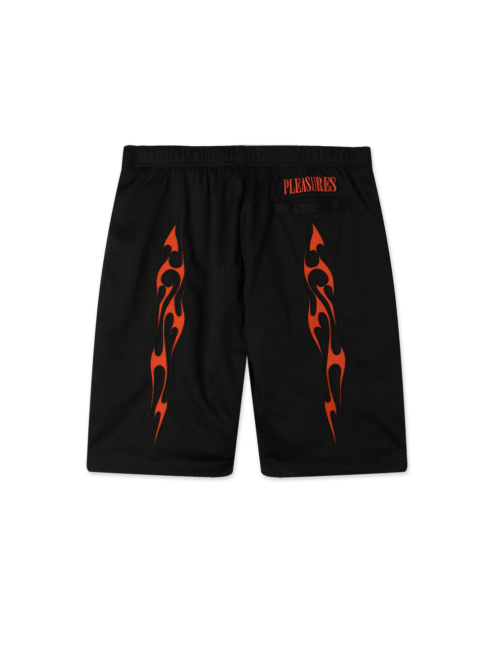 Шорты Flame Mesh Shorts