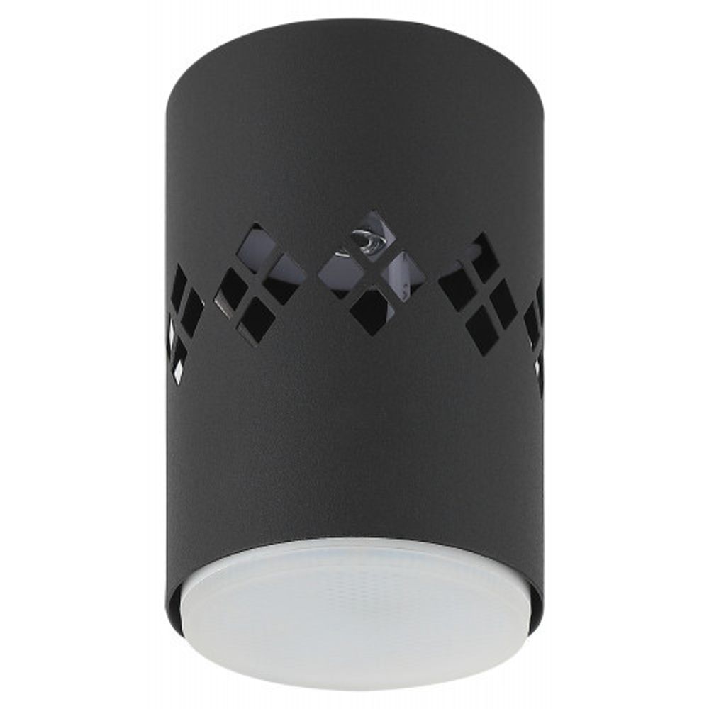 Светильник настенно-потолочный спот ЭРА OL10 LD GX53 BK черный, подсветка 1 W