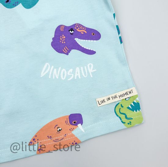 Футболка хлопковая "Мир динозавров" морозный шалфей